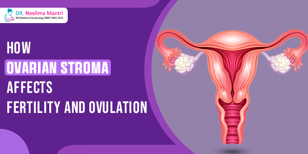 How Ovarian Stroma Affects Fertility and Ovulation Illustration showing the role of ovarian stroma in fertility and ovulation